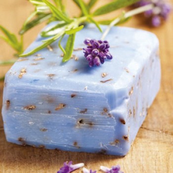 Creamy Soap